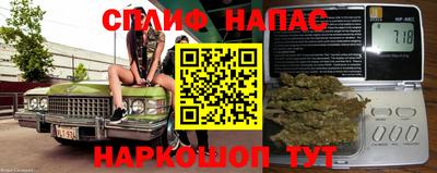 jwh Шебекино