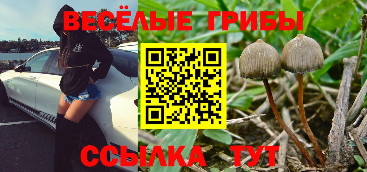 цена наркотик  Вход с VPN  Верхний Уфалей  Галлюциногенные грибы Magic Shrooms 